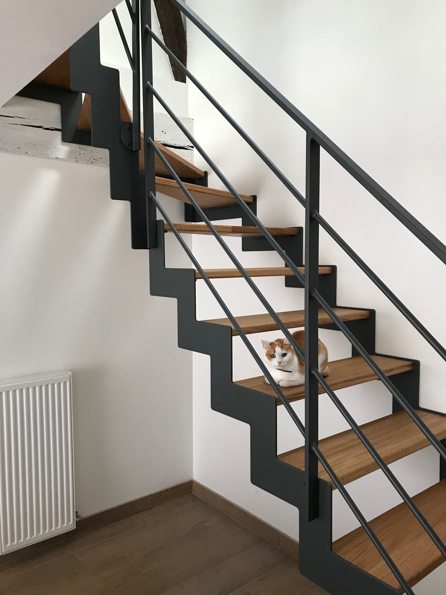 Escalier bois et acier