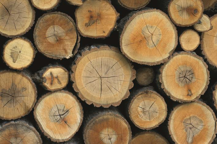 Oéba sélectionne des bois de haute qualité et certifiés FSC et PEFC